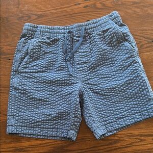 Todd Snyder texture shorts - never worn